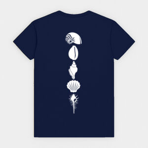 Seashells White Thumbnail